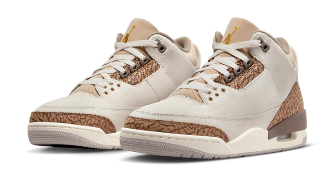 Air Jordan 3 Retro 'Palomino' CT8532-102  (274)
